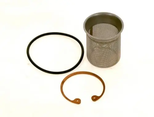 BOSCH Sieb aus Metall mit feinem Gitter, umgeben von einer schwarzen O-Ring-Dichtung und einer bronzefarbenen Halterung, auf einem hellen Hintergrund.